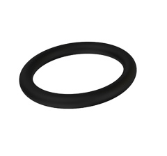 INNER O-RING FOR P1000G/P1000L X 100