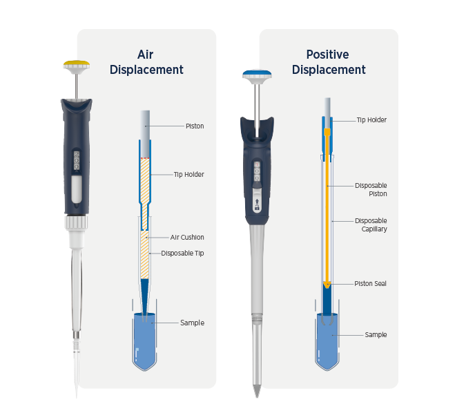 Positive Air Displacement Pipettes Plan