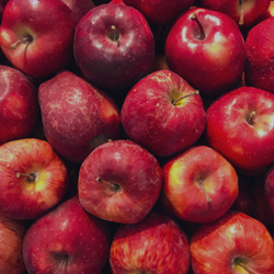 patulin apple